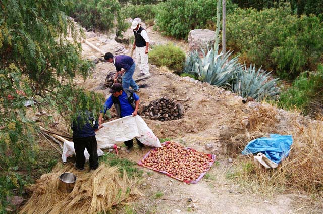 peru06_wb123