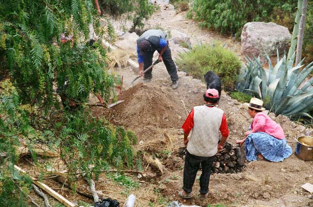 peru06_wb128