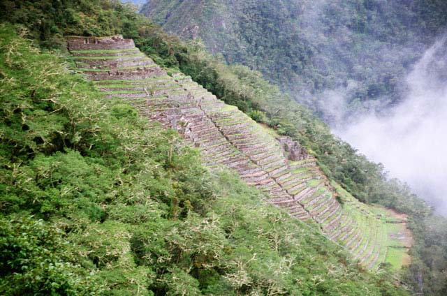 peru06_wb224