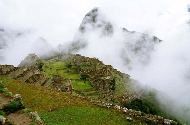 peru06_wb234