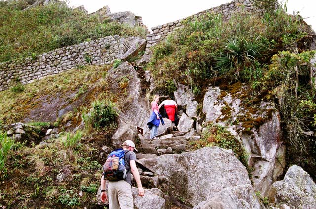 peru06_wb248