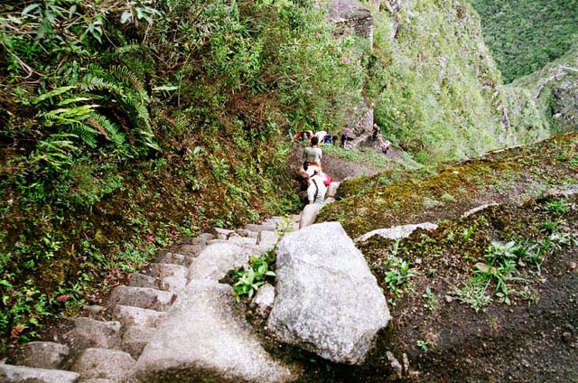 peru06_wb253